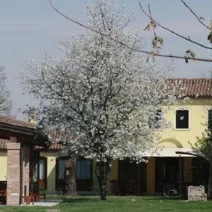 Appartement Particolari Del Brenta, Oriago Di Mira
